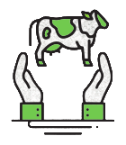 ico01_